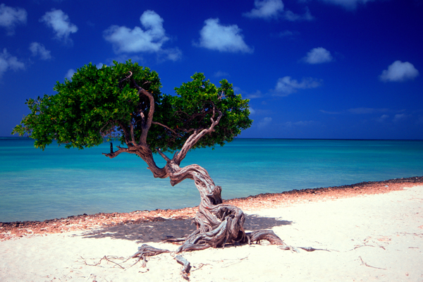 SCENERY Beach`SB 68